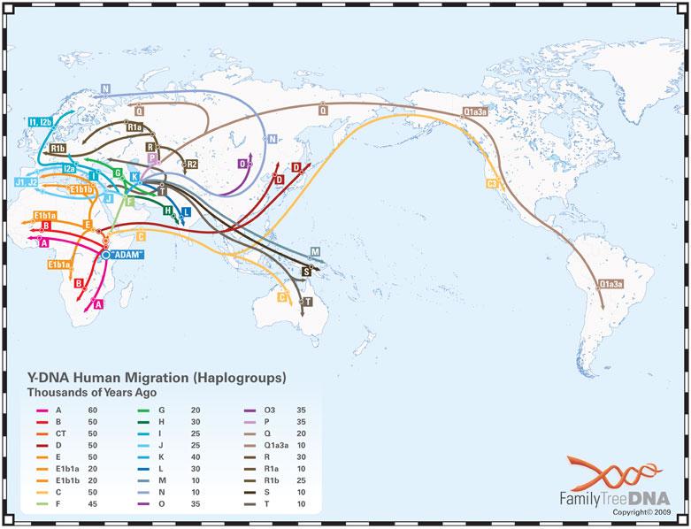 Y-DNA migration map